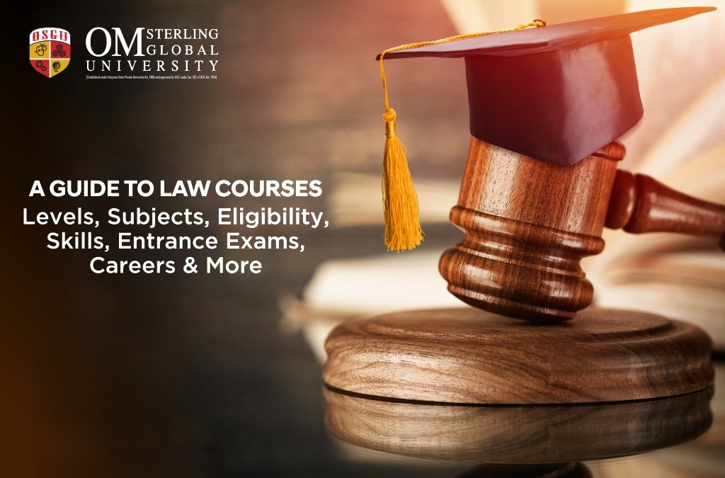 A Guide to Law Courses