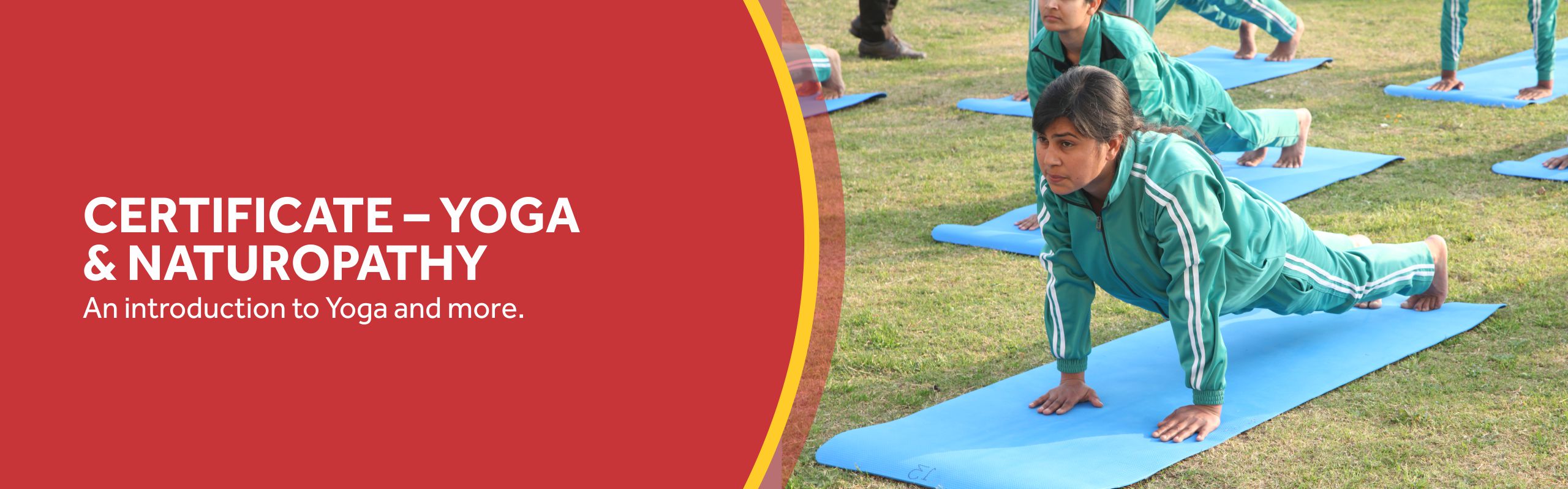 Certificate in Yoga and Naturopathy Course in Haryana, India