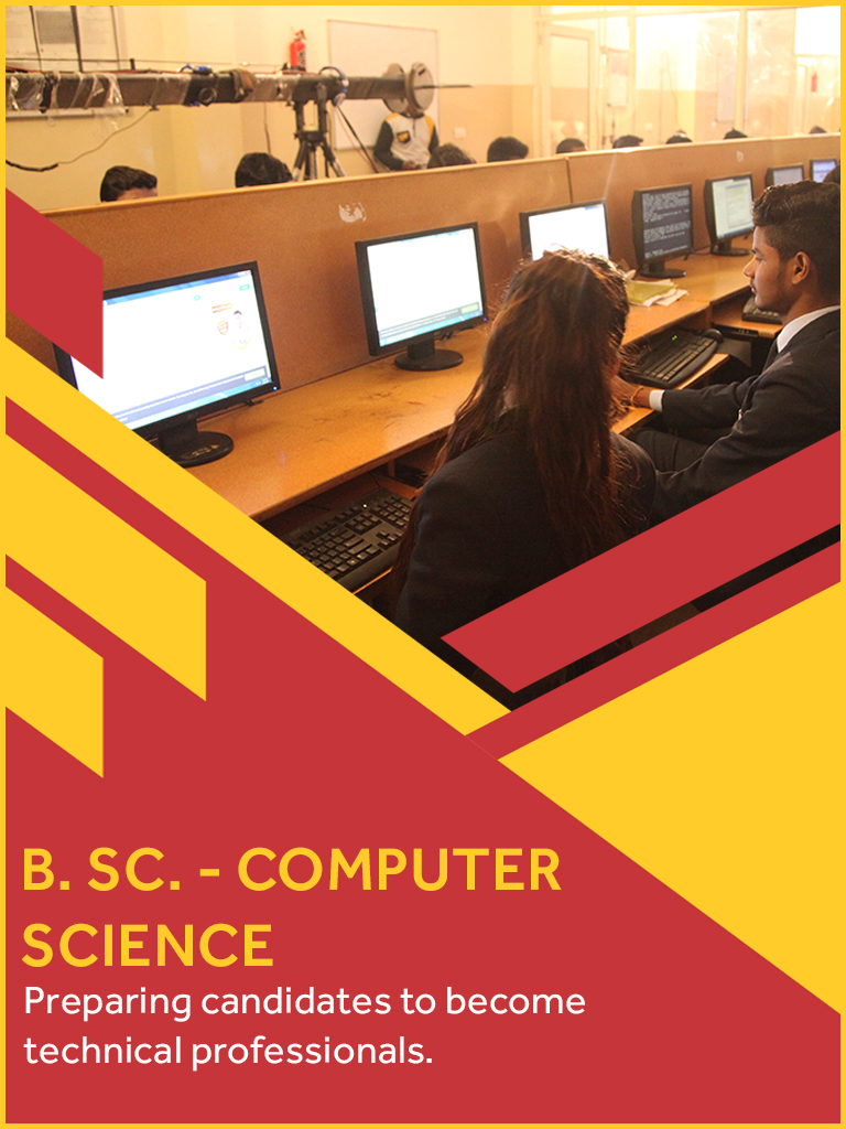 B.Sc. in Computer Science Course/College in Haryana
