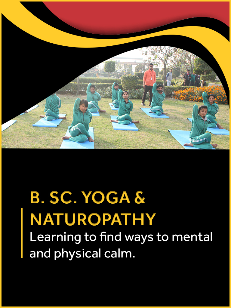 B.Sc. Yoga and Naturopathy Course/College in Haryana
