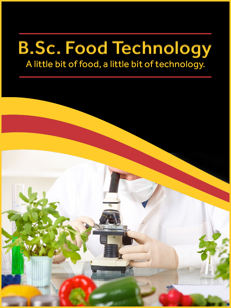 B.Sc. in Food Technology Course/College in Haryana
