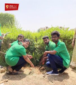 World Environment day celebrated at Om Sterling Global University 2