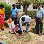 World Environment Day Celebrated at Om Sterling Global University, Hisar