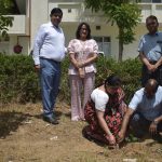 World Environment Day Celebrated at Om Sterling Global University, Hisar